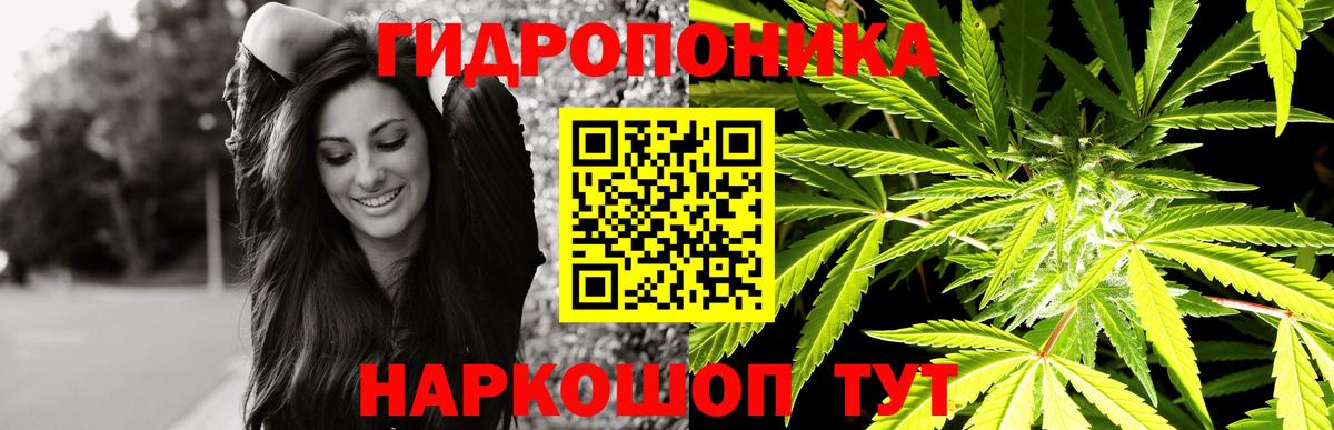 Конопля план Североморск